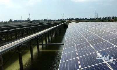 光伏發電設備為何在湛江村長惡行風波中被提及？——從個案反思基層組織整治新思路